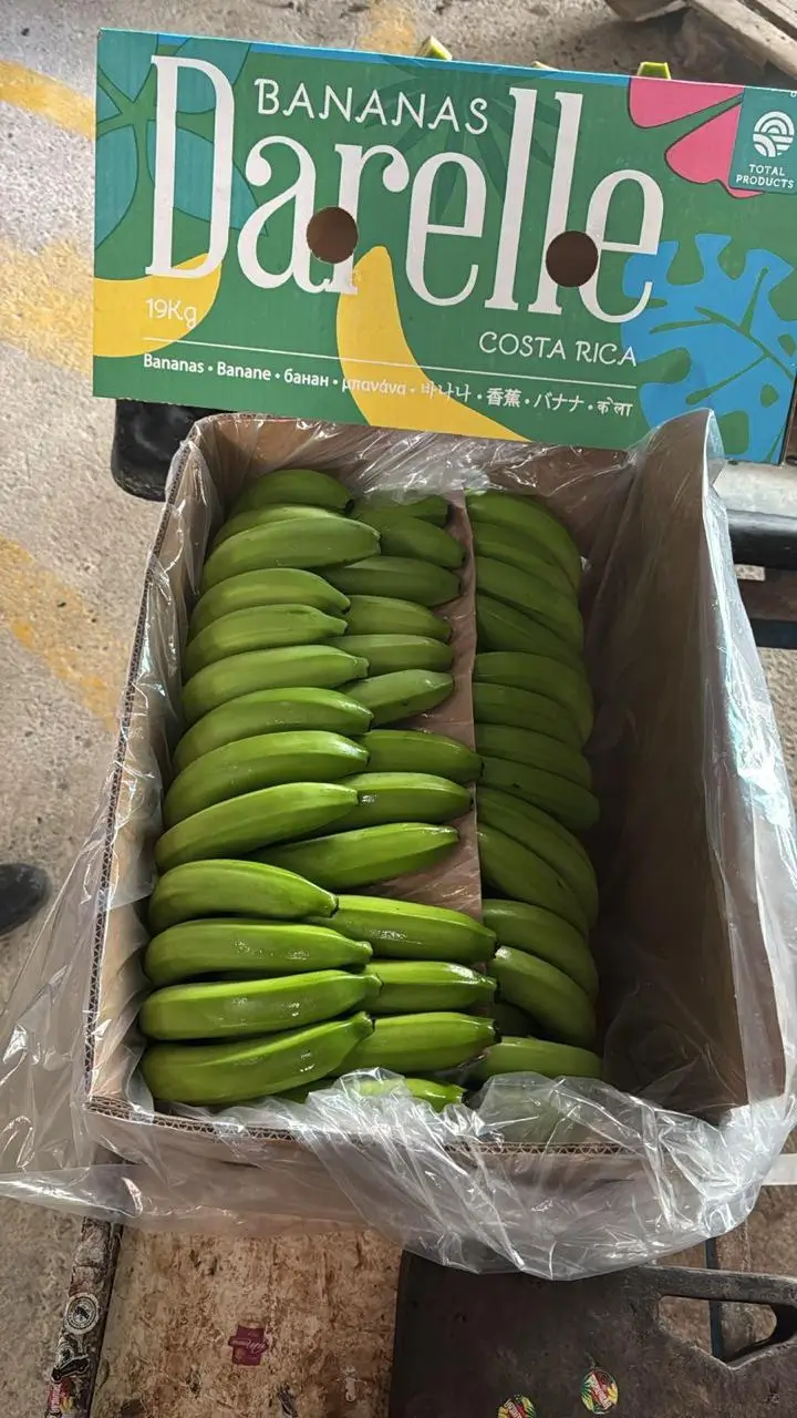 Green Bananas - Darelle brand from Costa Rica