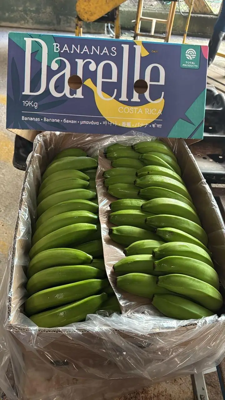 Green Bananas - Different angle of Darelle brand box