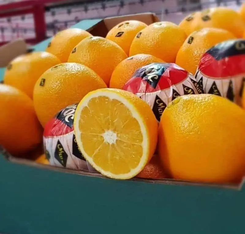 Fresh Oranges - Box with cut orange and wrapped fruits