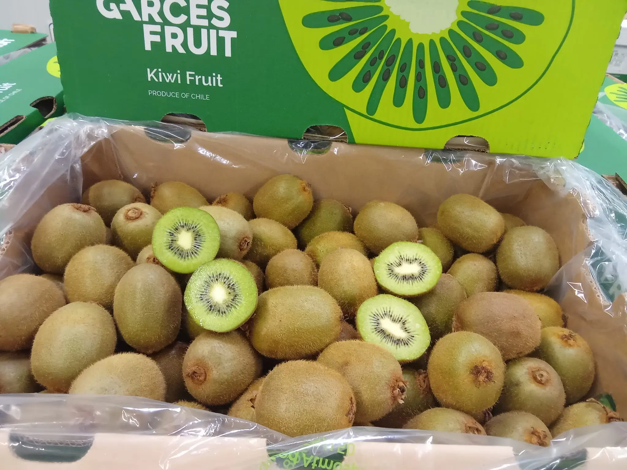 Fresh Kiwi - Garces Fruit brand with cut samples