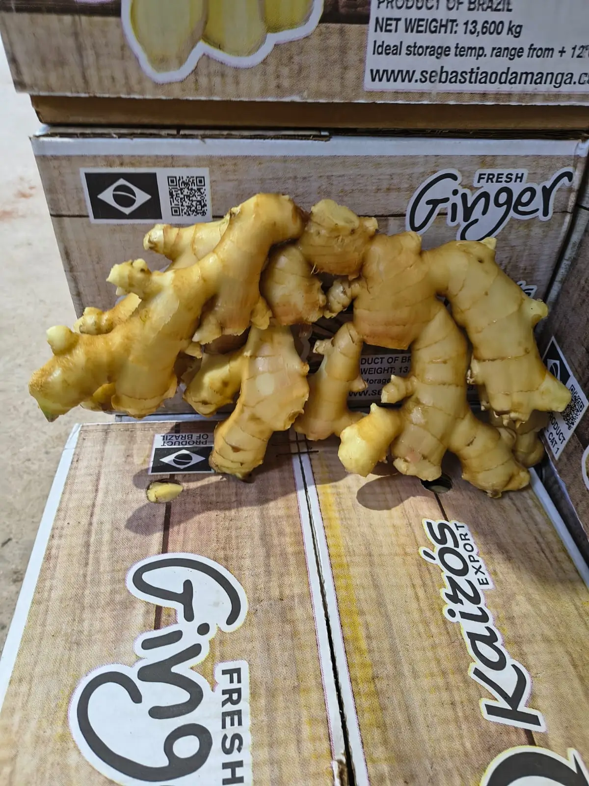 Fresh Ginger - Large ginger root from Brazil