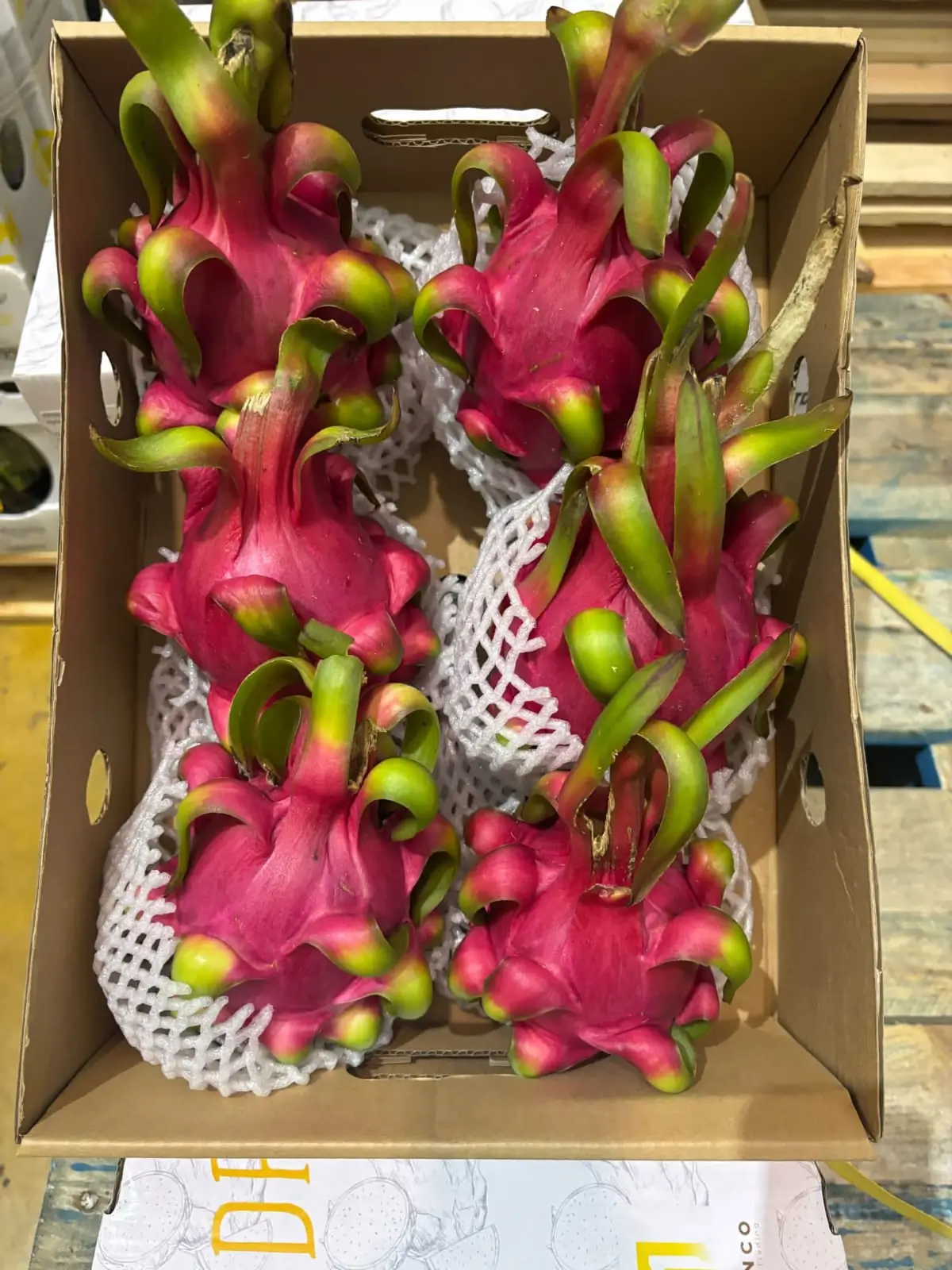 Dragon Fruit - Exotic pitayas with pinkish-red skin