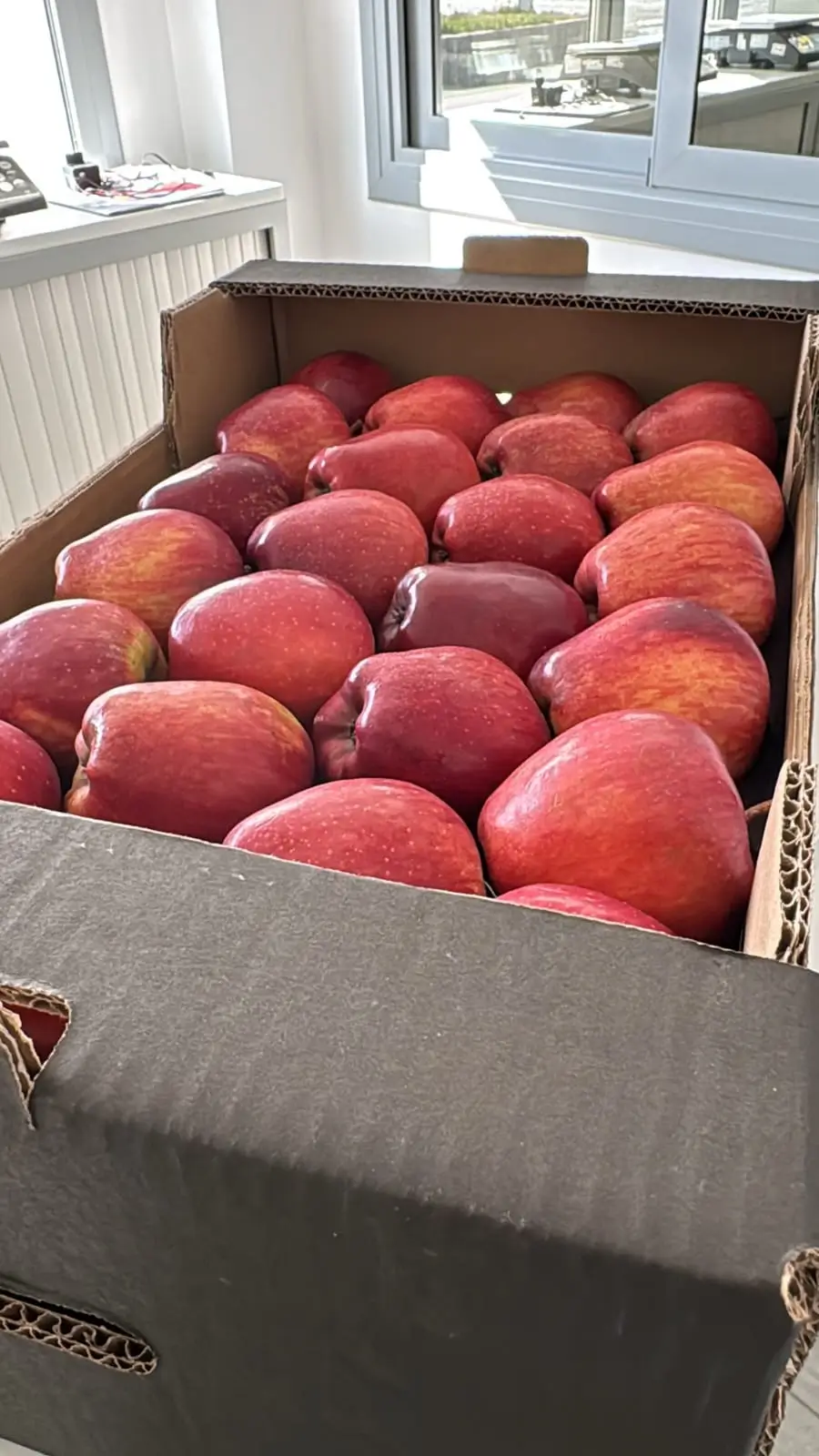 Fresh Apples - Large deep-red apples in neat rows