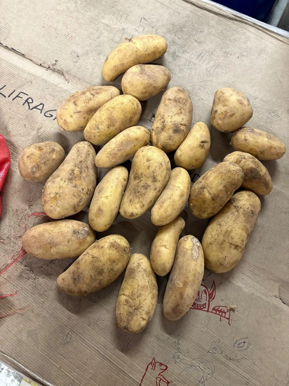 Fresh Potatoes - Unwashed potatoes with soil