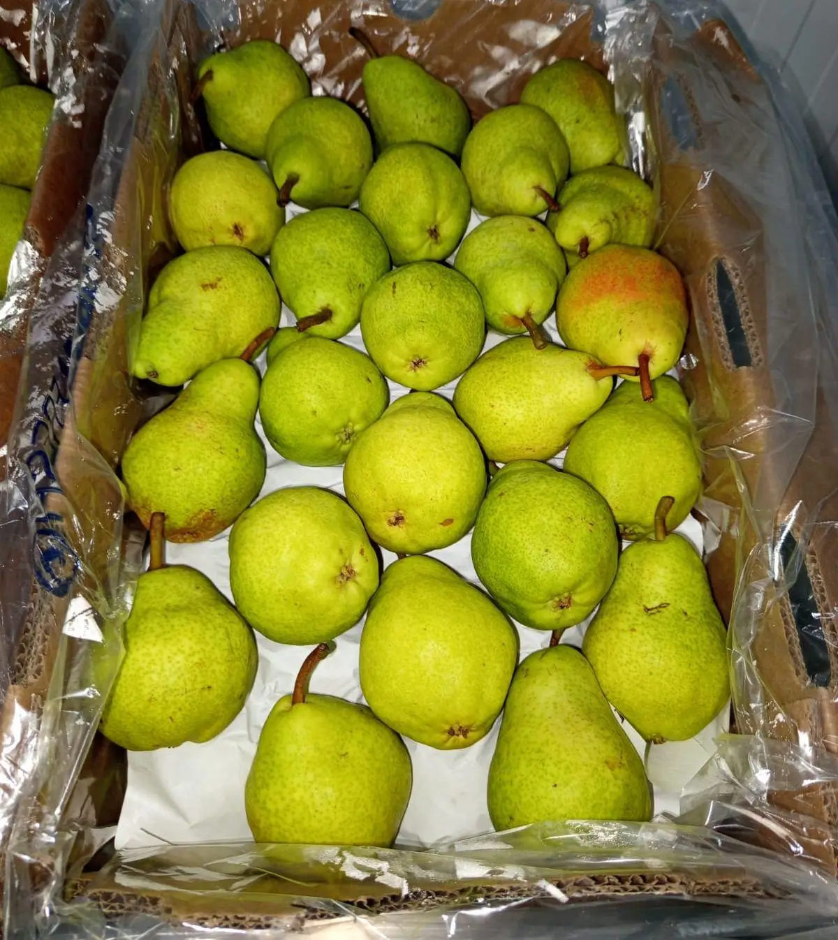 Fresh Pears - Green pears in lined box