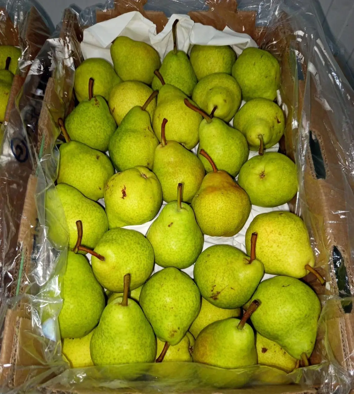 Fresh Pears - Yellowish-green pears in lined box