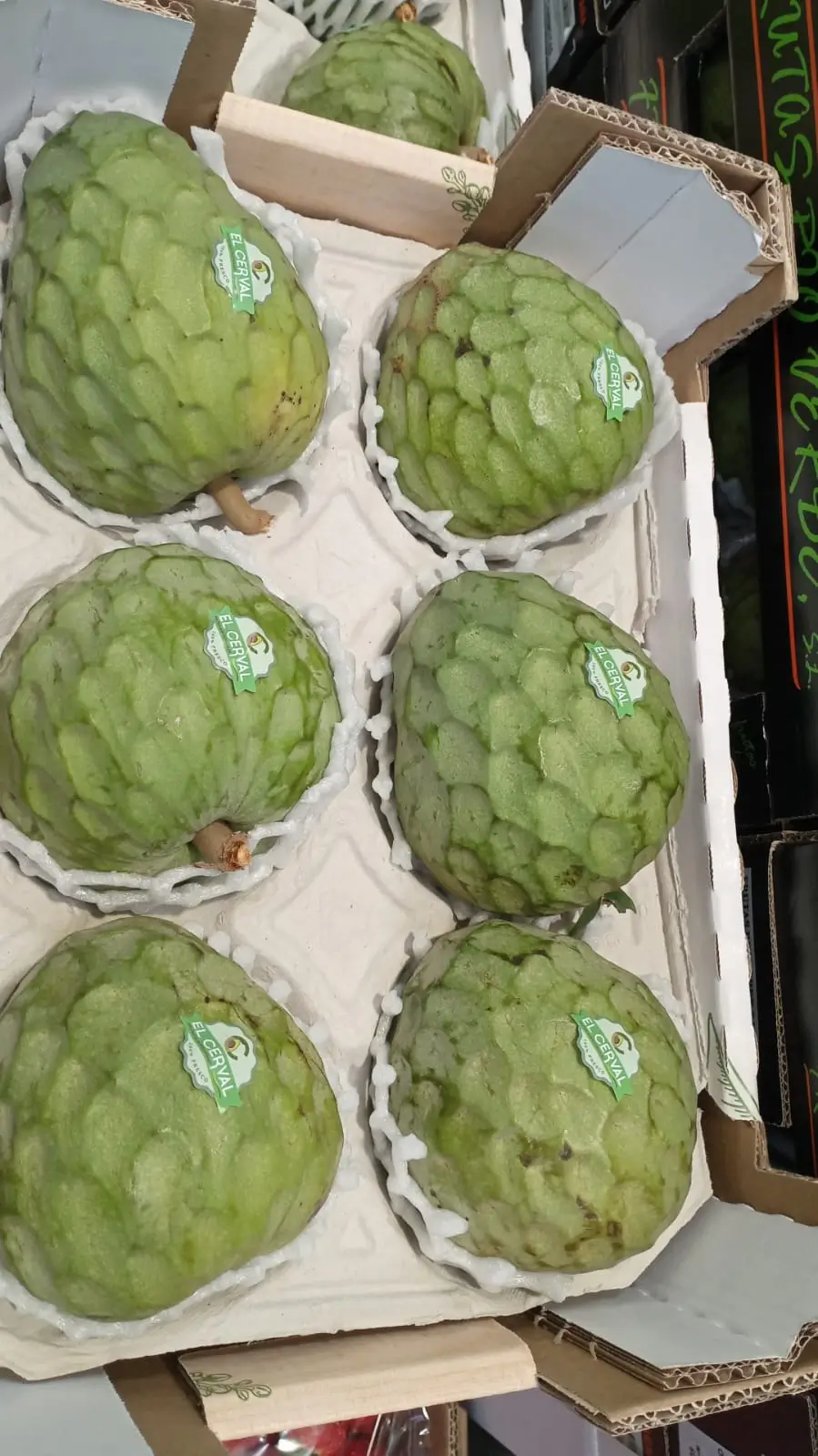 Cherimoyas - El Cerval brand custard apples with protective foam