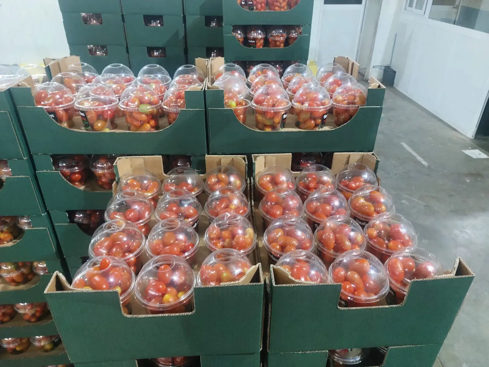Cherry Tomatoes - Retail-ready plastic cups with dome lids