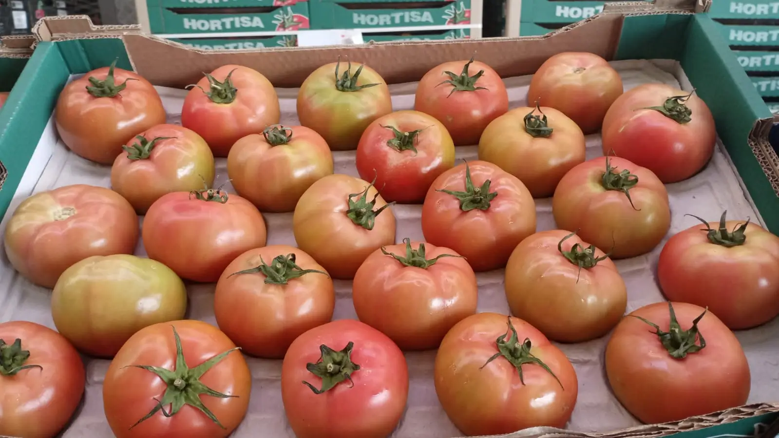 Fresh Tomatoes - Hortisa brand vine-ripened tomatoes